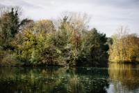 Fête des feuilles 2012 à Lyon