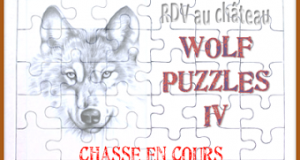 Wolf Puzzles 4 - Chasse au trésor