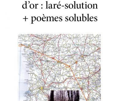 L Enigme De La Chouette D Or La Re Solution Poemes Solubles Le Livre